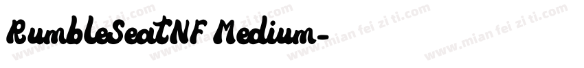 RumbleSeatNF Medium字体转换